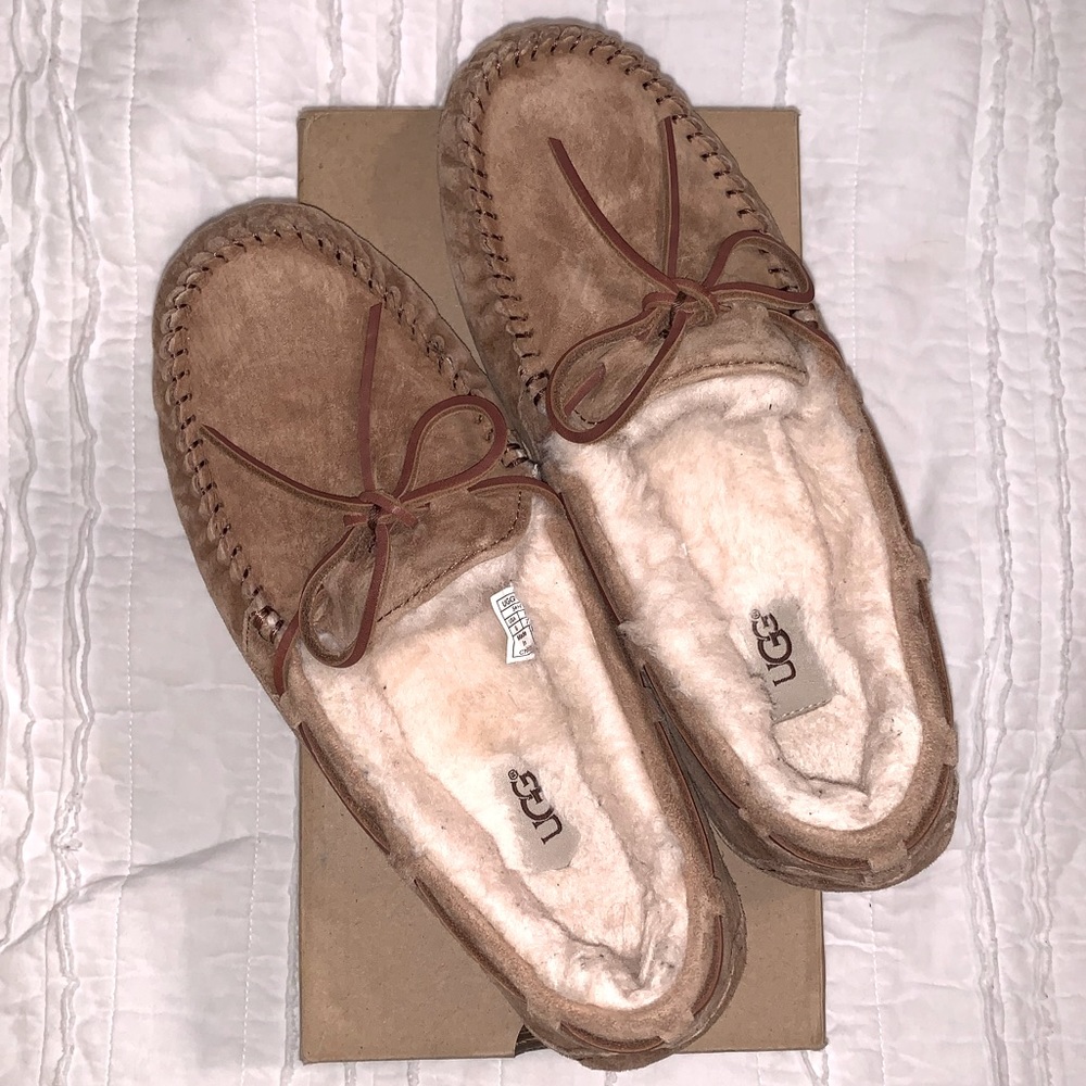 Size 9 Chestnut Suede Ugg Dakota Slipper